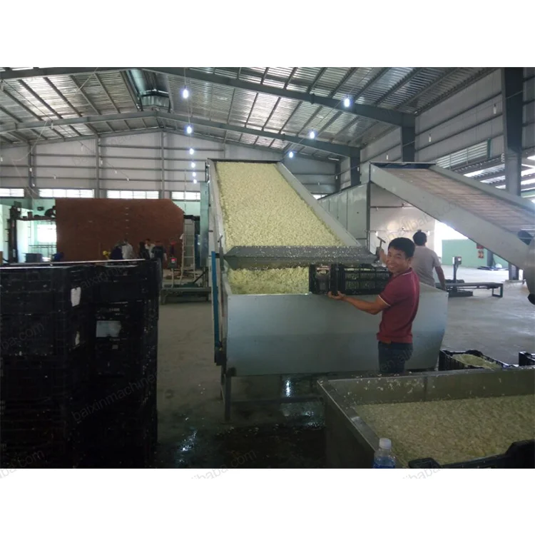garlic dryer/cassava flour drying machine/drying sunflower seeds