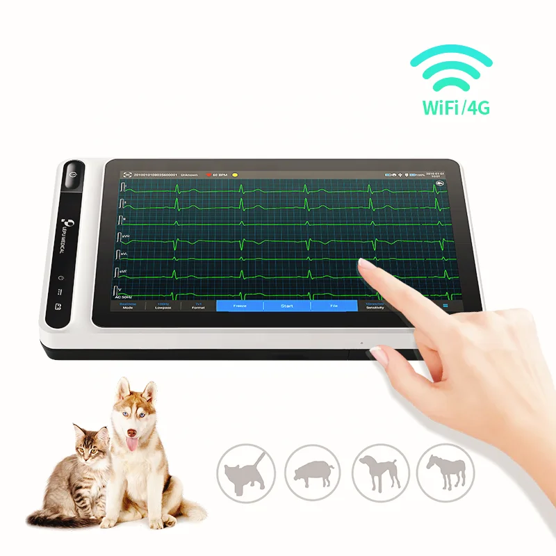 Touch Screen Animal Medical Mobile Heart Monitor Handheld Portable 6 9 12 Channel Veterinary ECG Machine