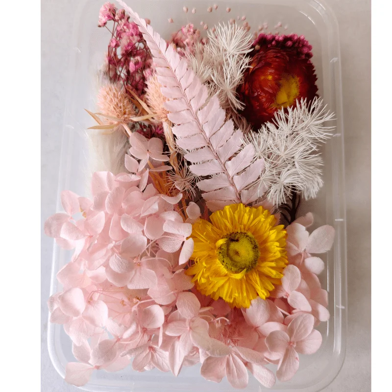 Real Pressed Flower Preserved Epoxy Pendant Necklace Craft DIY Natural Dried Flower Plant Mixed Colorful For Candle Phone Case