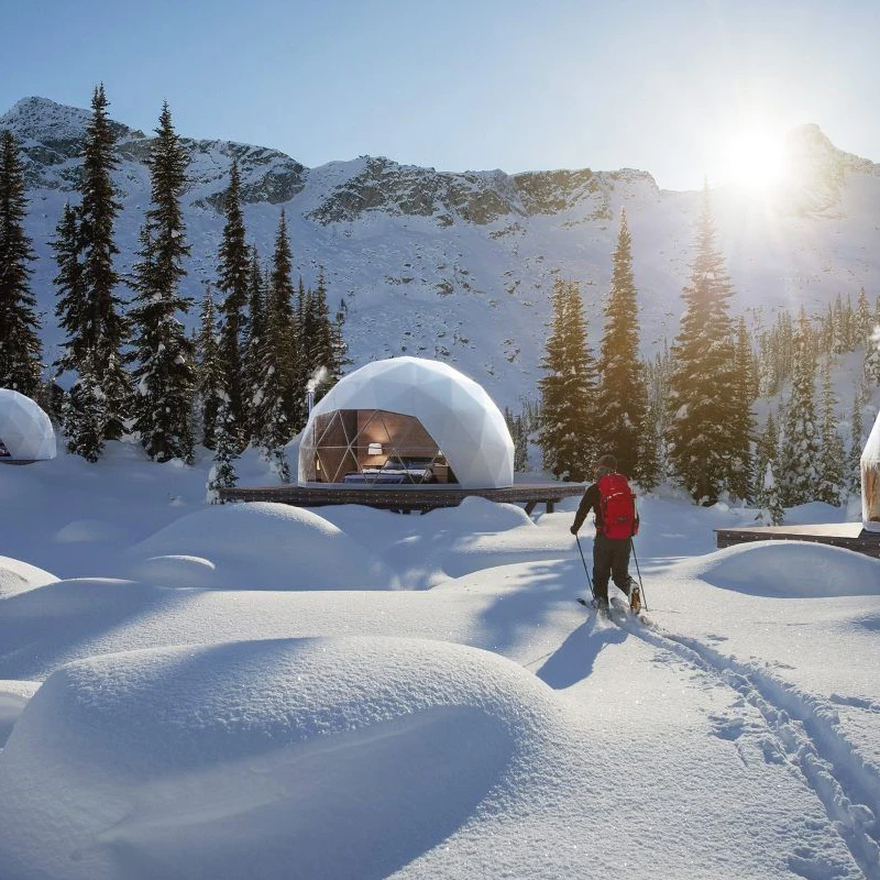 Fiberglass geodesic glass green prefab house dome tent transparent igloo tent geodesic dome tent