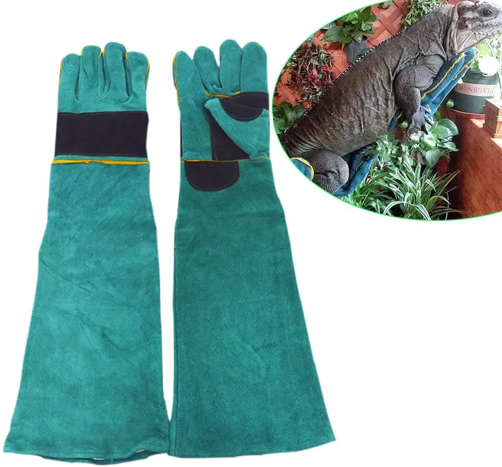 Swelder Animal Handling Anti-bite/Scratch Gloves for Dog Cat Bird Parrot Pet