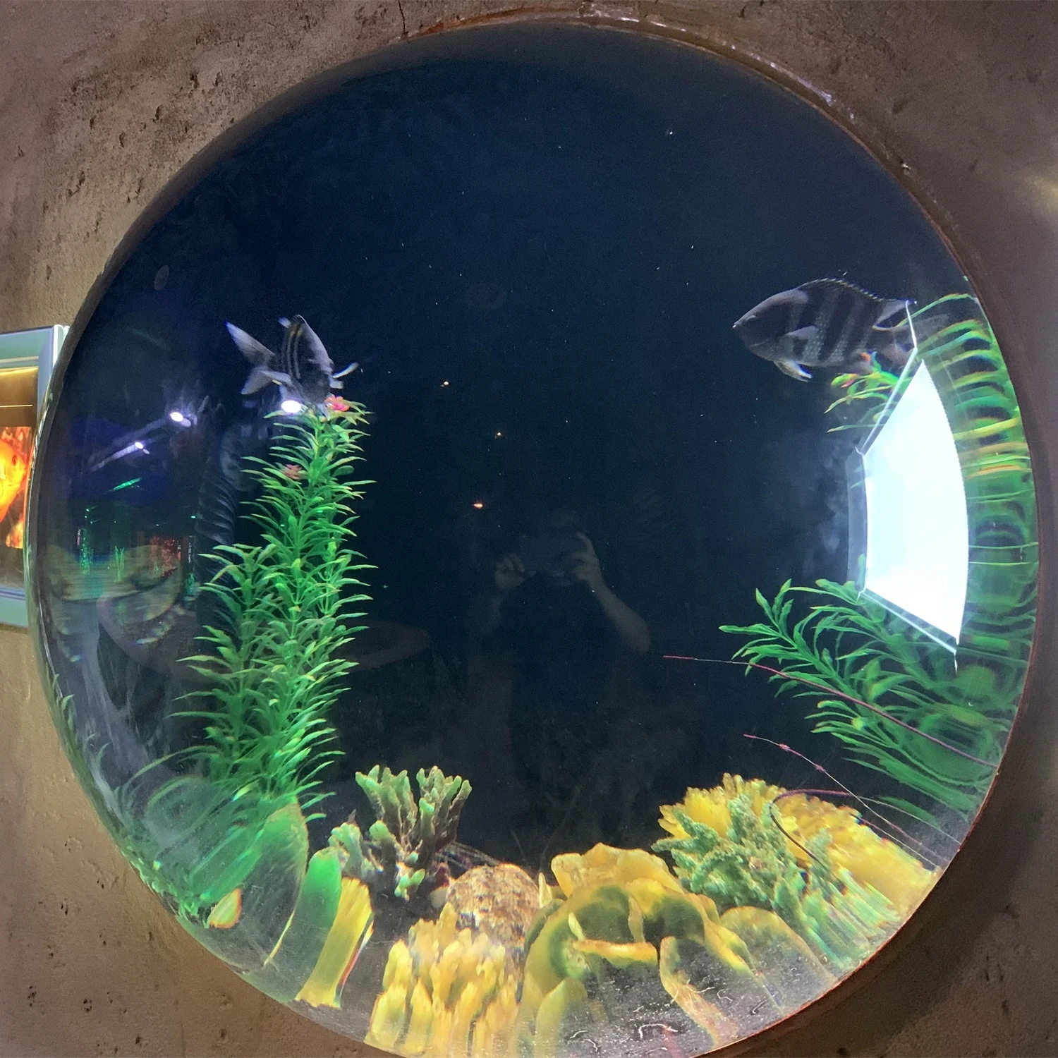 Factory Price Acrylic Sheet Aquarium Acrylic Aquarium Panel Project