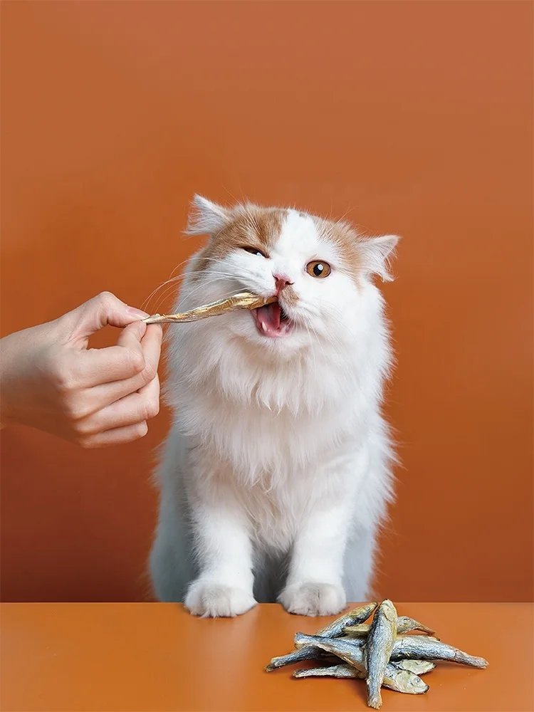 freeze dried herring fish pet treats for dogs and cats pet food OEM shandong pet food factory