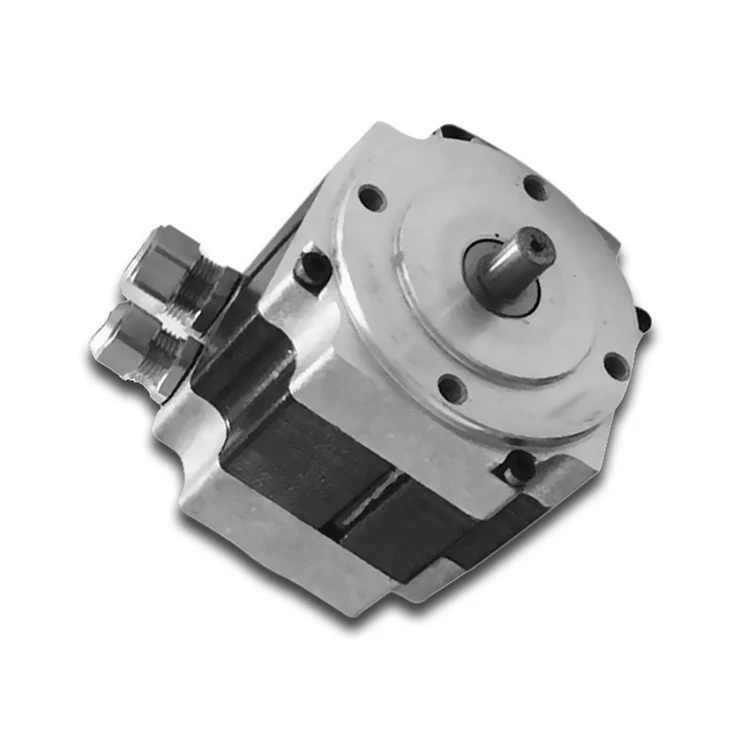 high speed low torque 24v 48v 200 watt dc brushless motor bldc BMM739