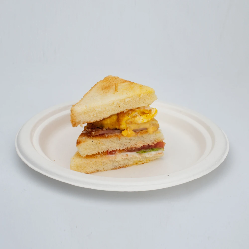 wholesale biodegradable sugarcane tableware bbq party plates disposable bagasse 9 inch compostable bagasse paper plates