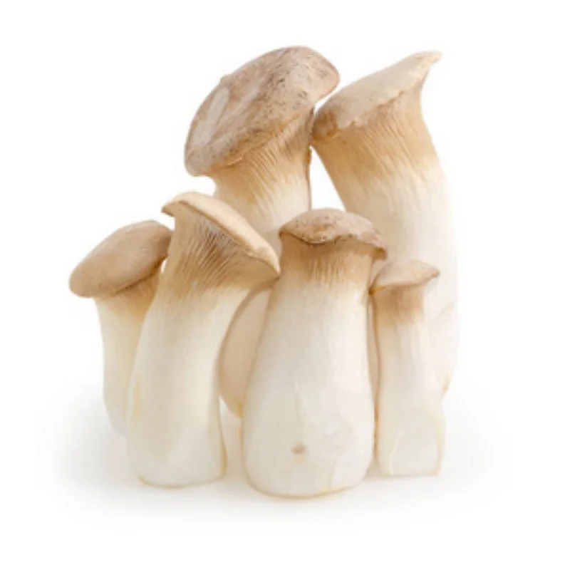 Hot Selling High Quality Frozen king oyster mushroom Frozen Eryngii Mushroom Frozen Pleurotus Eryngii