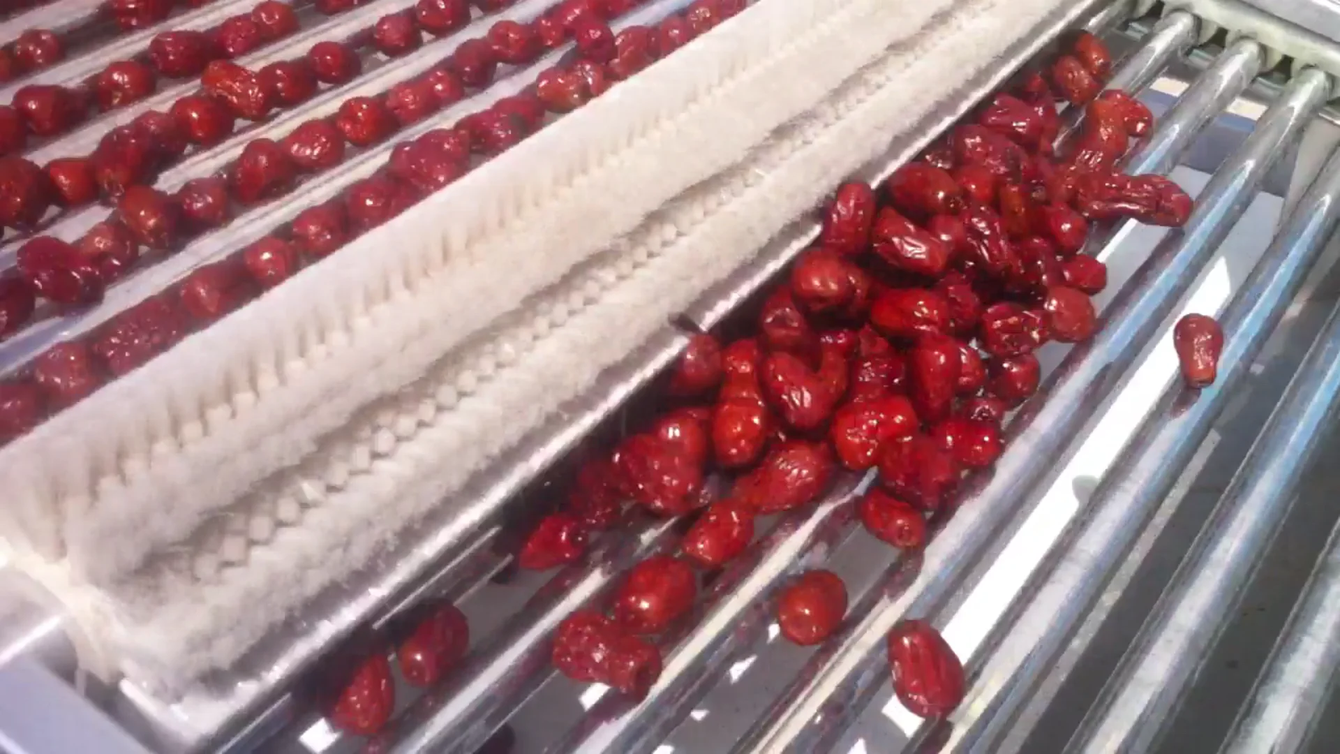 20 to 85  tons /24 hrs  palm dates washing drying  machine  for industrial dates washing sorting drying production