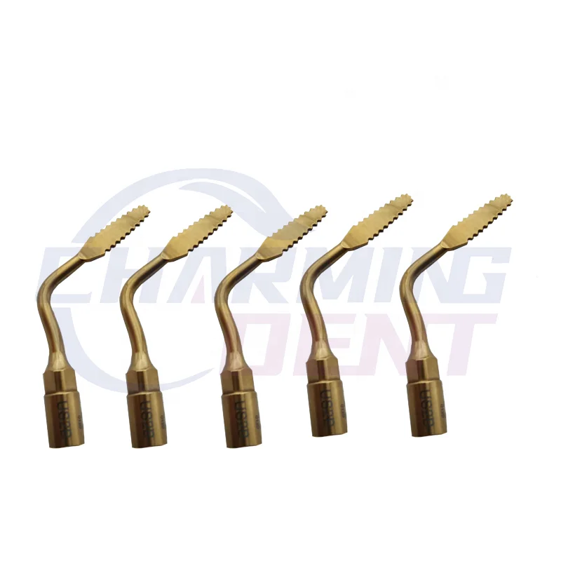 Dental instrument ultrasonic piezo bone surgery machine tips / Piezosurgery tips micro saw ultrasurgery insert