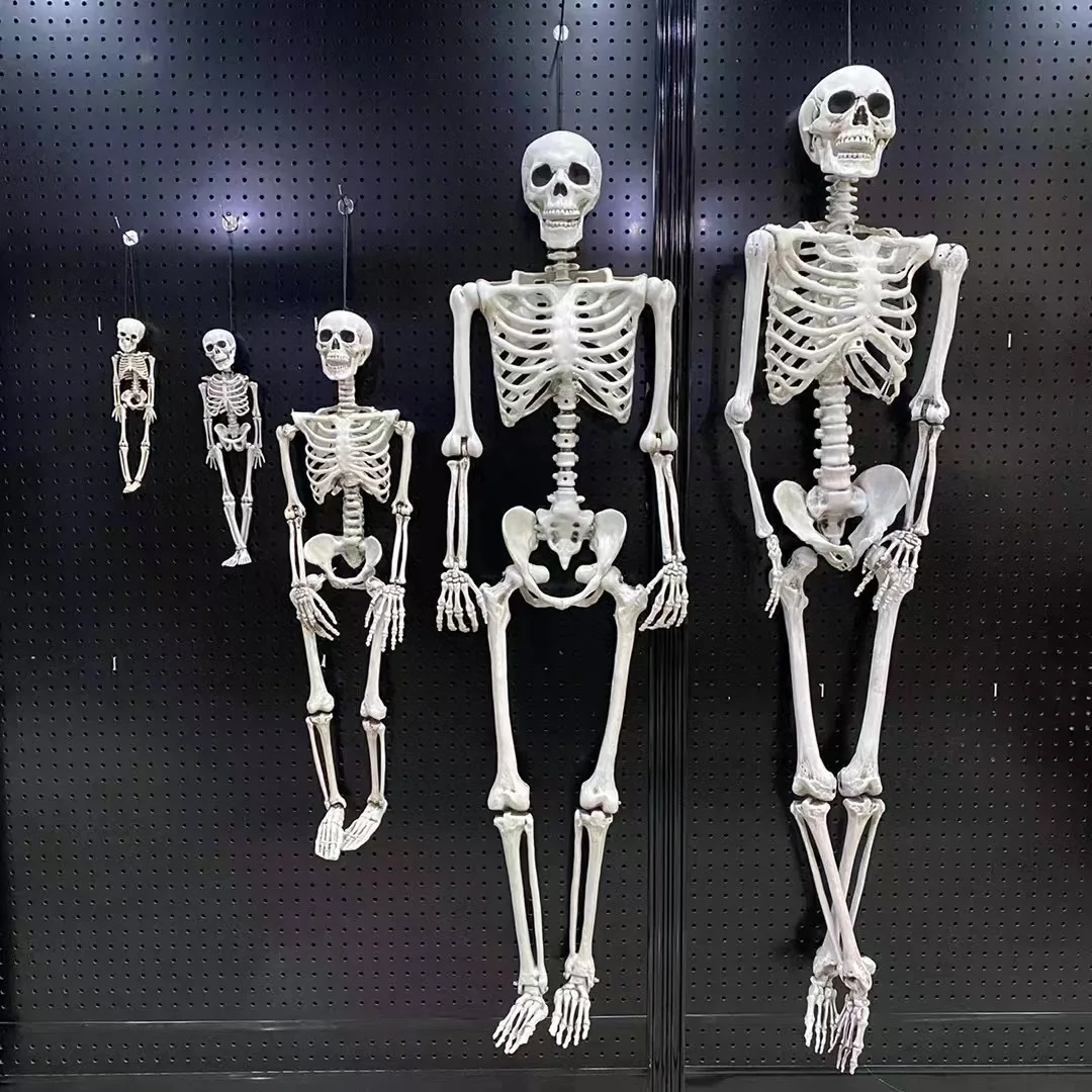 Customize 35 inch Halloween Skeleton Full Body Plastic Skeleton with Movable  Joints Perfect for Halloween Decorations Party