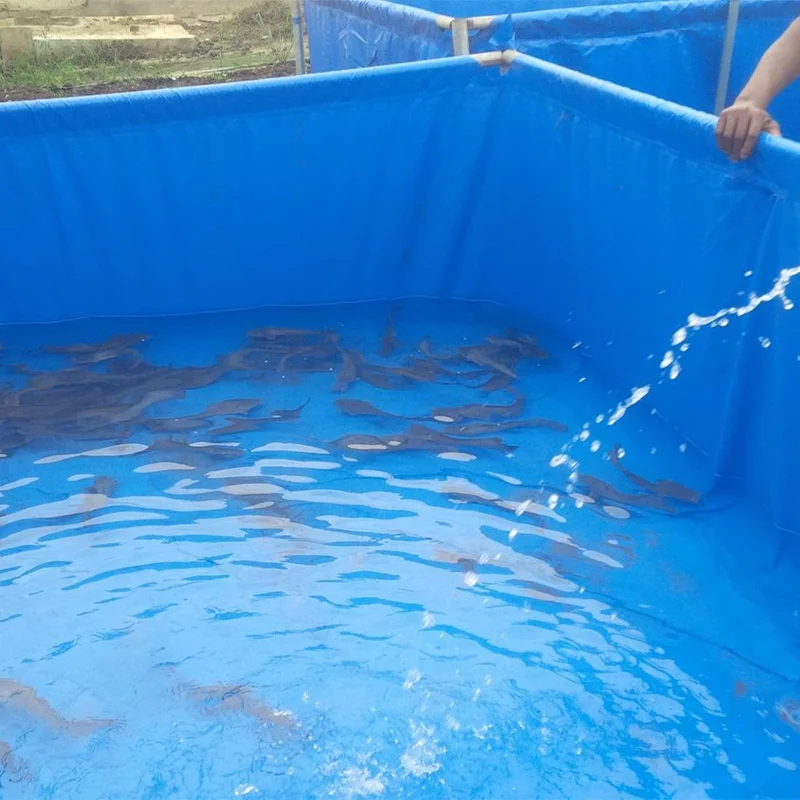 Manufacturers Promote Large Inflatable Waterproof Plastic Pe Tarpaulin for Water Tank