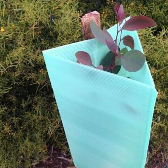 Square/ Round/ Triangle Corrugated plastic Vine Corflute Tree Guard Plant Protector