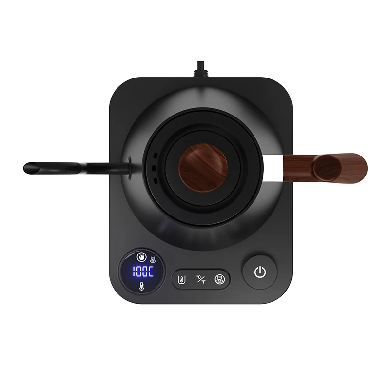 Electric Tea Pot Kettles with Temperature Control - Stainless Steel Coffee Teapots Kettle and Electric Teapot Pour Over 1L