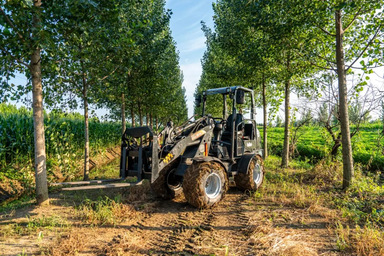 Small Loader with Big Power: High Payload Capacity for Small Spaces