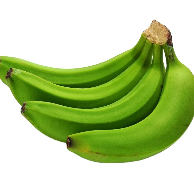 FRESH CAVENDISH BANANA CHEAP PRICE