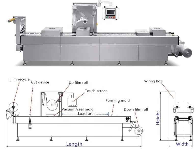 Stainless Steel Food  Automatic Vacuum Continuous Packing Machine Vacuum Packing Machine