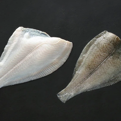 hot sale export frozen arrow tooth flounder ATF fillet