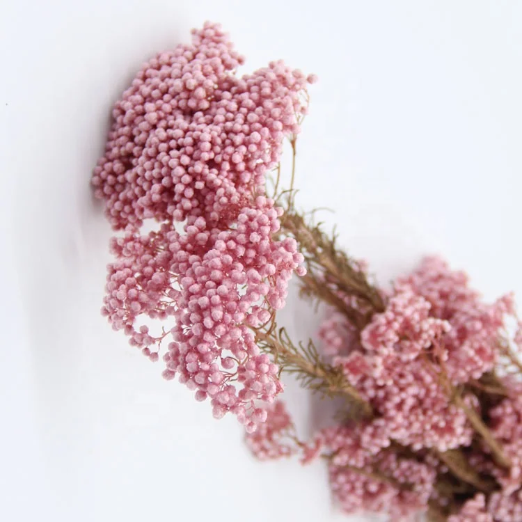 Natural small dried preserved millet flower rice flowers floral decors wedding design