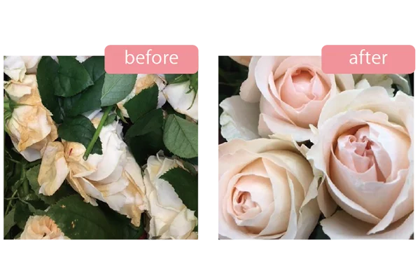 High grade catalyst chemical materials manufacturer suppliers