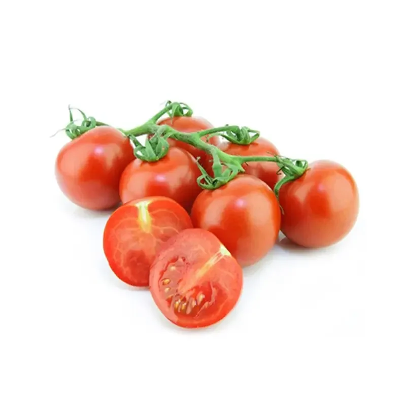 high quality fan qie Lycopersicon esculentum seeds F1 hybrid Red tomato seeds vegetable seeds