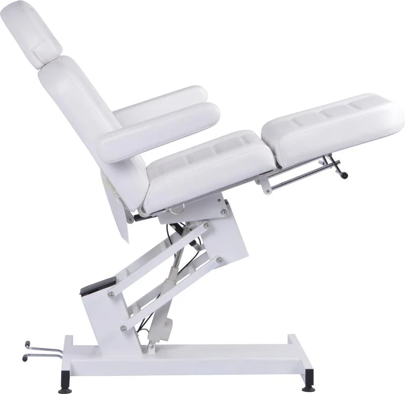 Salon Electric Facial Bed Beauty Leather with Motor Spa Chair Massage Bed