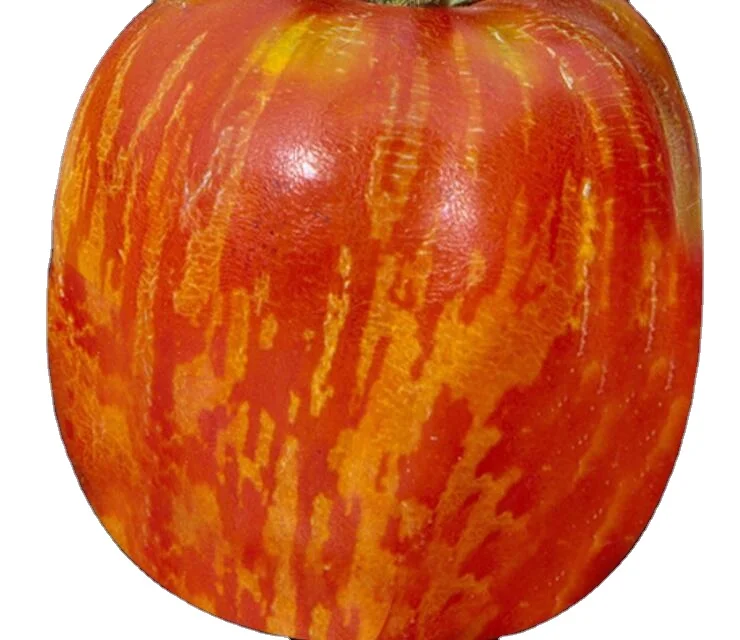 Wu cai fan qie non-gmo anti virus colorful red little tomato seeds for sale