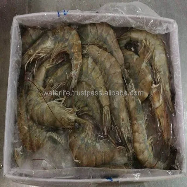 Best Selling Fresh And IQF Frozen White Shrimp From Malaysia
