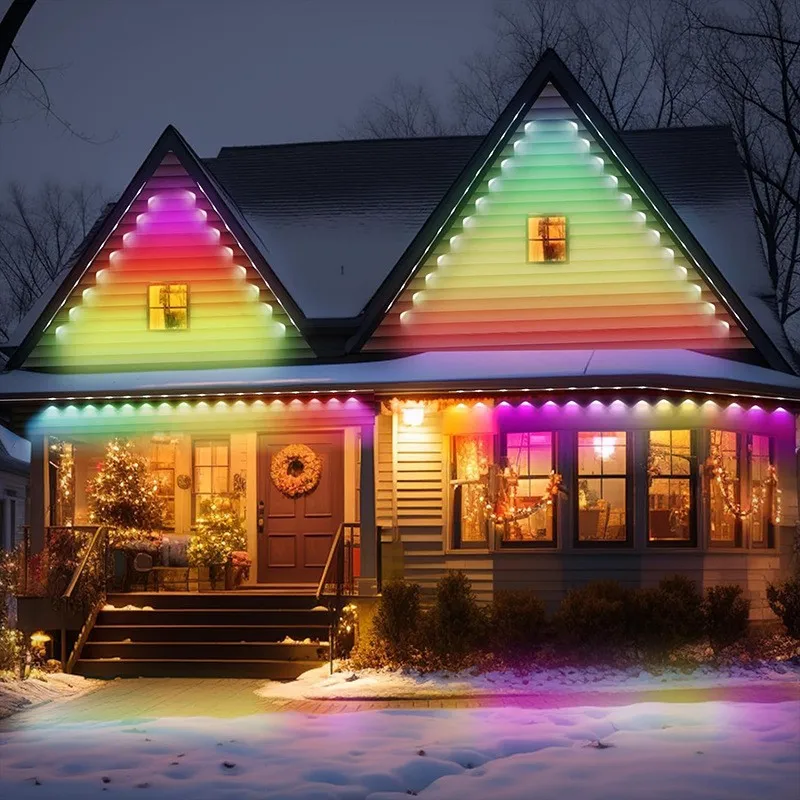 outdoor DIY Garden decor light LED RGBIC chips Blue--tooth wireless remote controller smart housing ambience decorating lamp