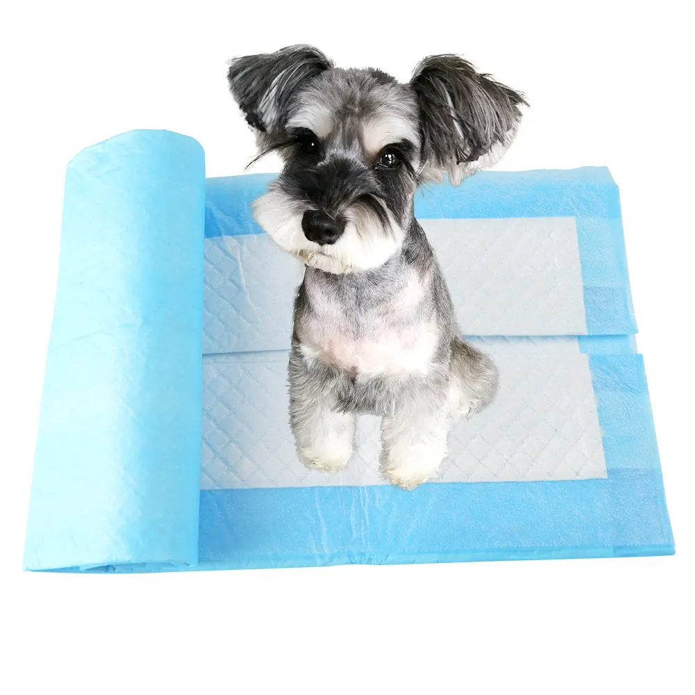 Cinch Sticker 22*22 Inch Puppy Pet Dog Indoor Cat And Dog Toilet Training Pads Absorbent