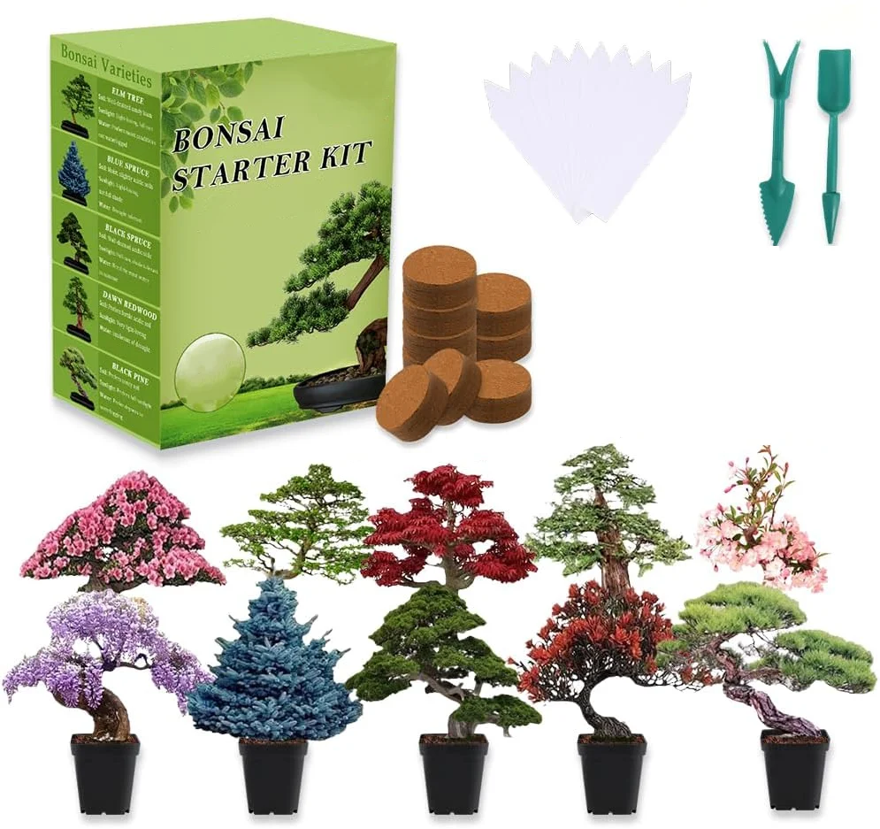 Customized Bonsai Starter Kit with Tools Different Bonsai Tree Seeds Packaging Creative Low Cost Great Gift Idea