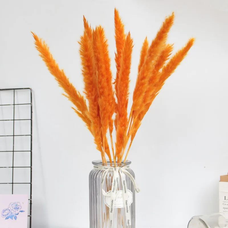Natural Dried Flowers Small Natural Pampas Grass Wedding Wall Decoration Home Arrangement Office Baby Pampas