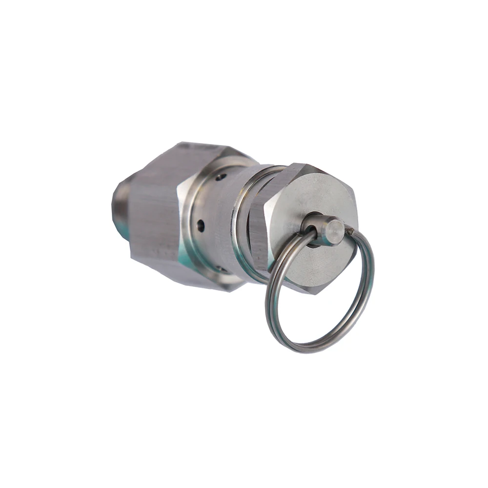 Small Pressure Relief Valve Adjustable Stainless Steel Safety Valve for Pressure Tank