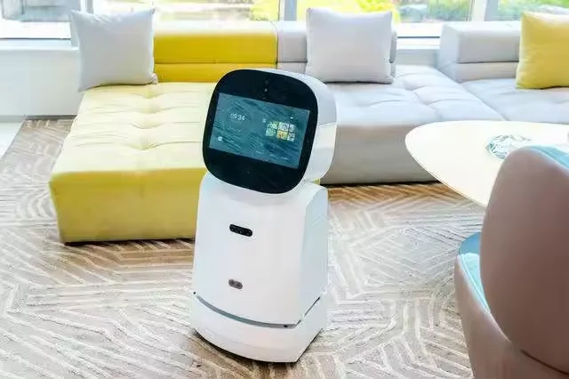 Pacecat 2d lidar long range360 degree distance sensor lidar detecting wall floor for AI service robot serial port