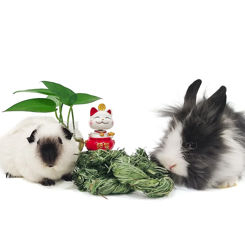 Pet rabbits hamsters guinea pigs chinchillas and other rodent snacks toy teething chew toy rabbit timothy grass