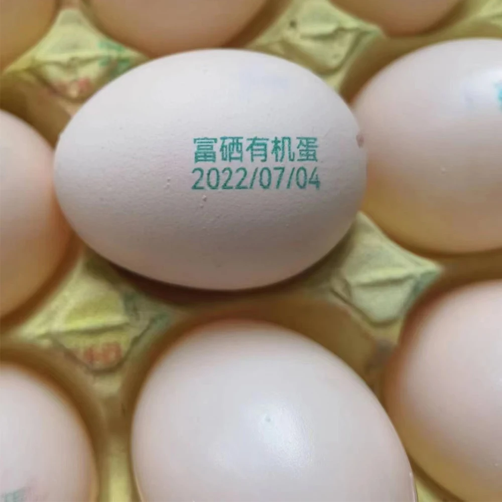 kelier Desktop Hen egg -type spray fox single -headed pallet coding full -automatic small egg inkjet wholesale