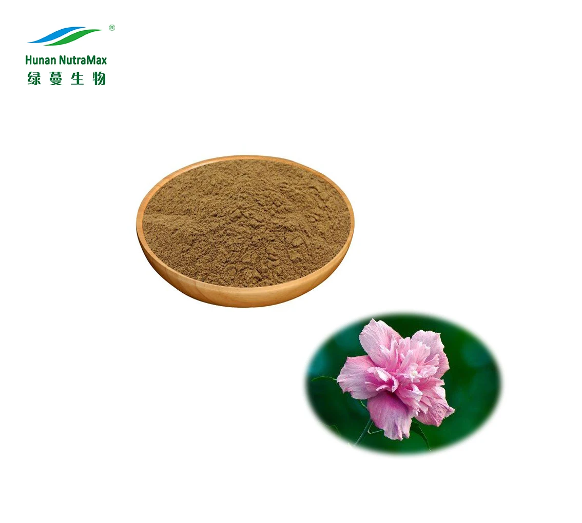Shrub Althea Flower Hibiscus Syriacus Extract Powder with 10:1 20:1