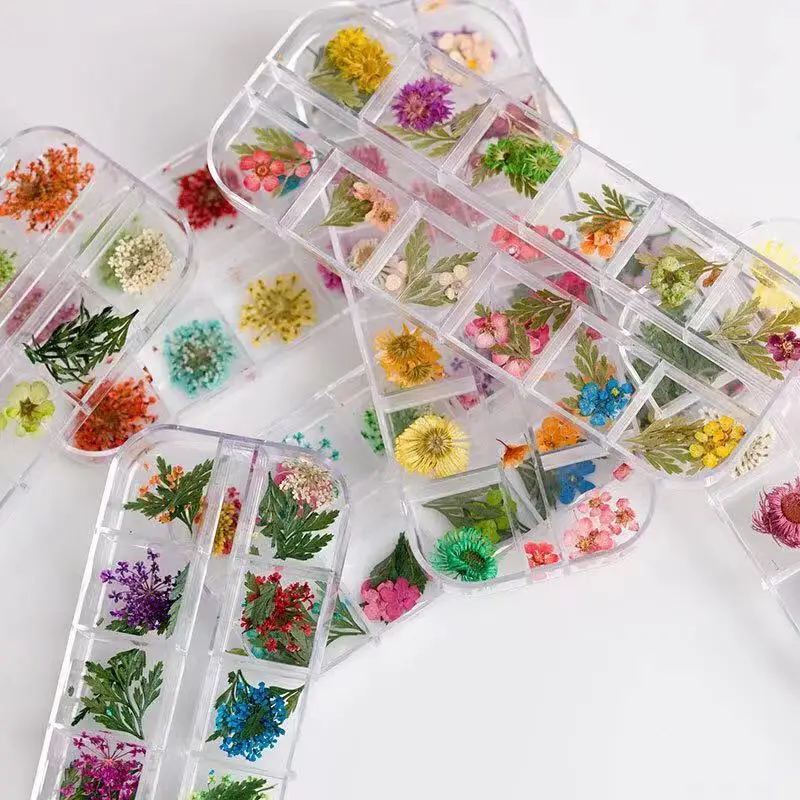 12 Grid Mixed Dried  Flower Nail Art DIY Nail Charms Popular Dried Daisy Flowers