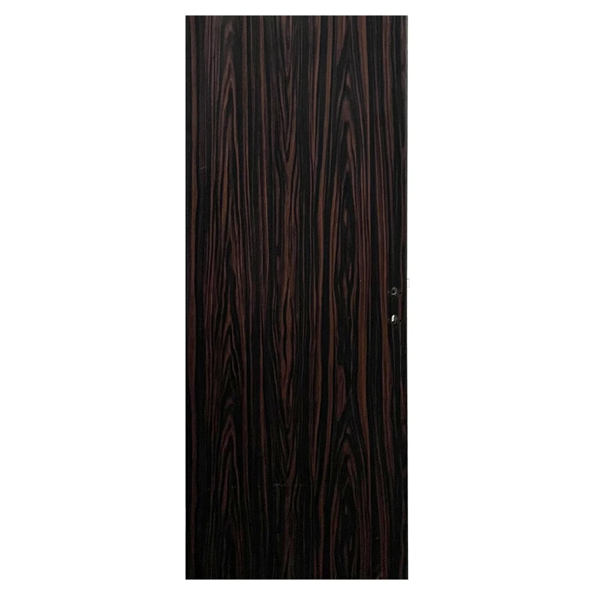 Black walnut color High quality Security Steel Door Entry Exterior Metal Steel Main Door contemporary design Door for House
