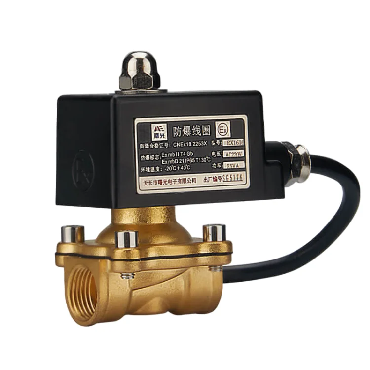 Explosion Proof solenoid valve 12 volt 1/4 NPT 2 Way 2 Position 12V Pneumatic Solenoid Valve