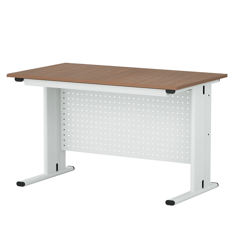 Home Office Table Furniture  Metal Studying and Writing Desk With Panel Office Tables for office and home