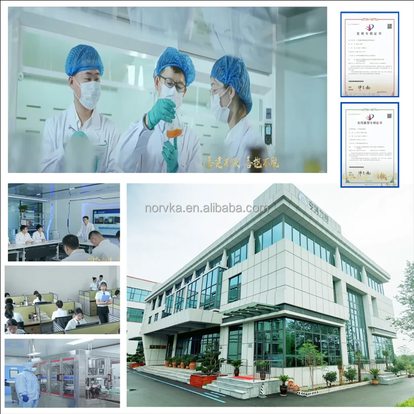 victory pills racing pigeon product for intestinal health protection supplement six in one  capsules