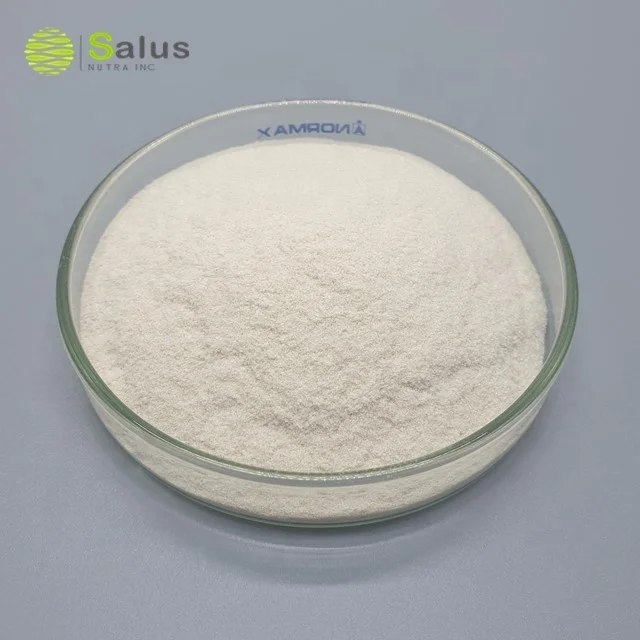 Salus Provide Best Price Chitosan Powder Chitosan