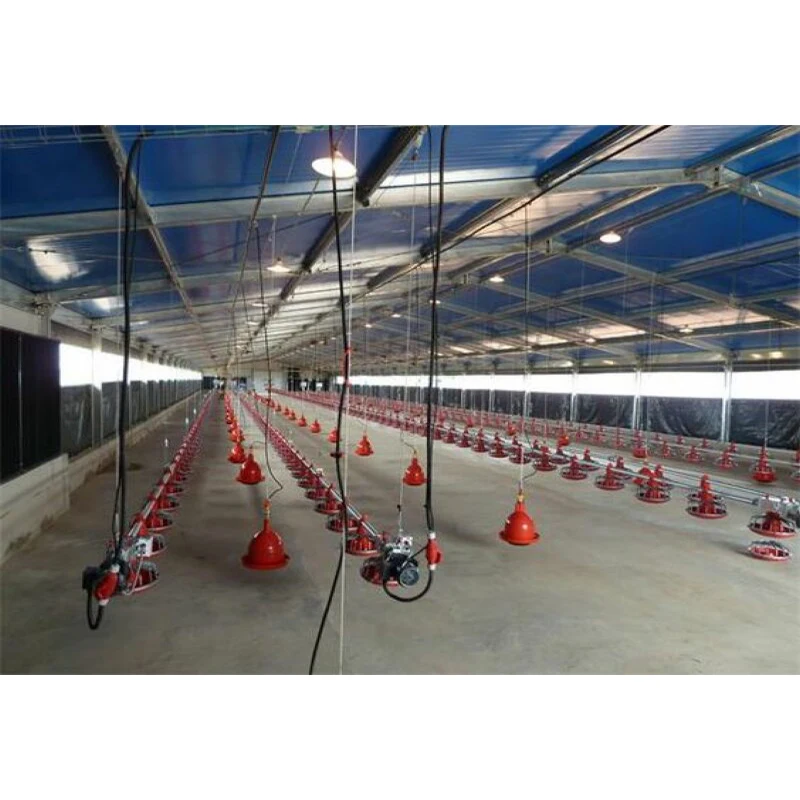 Конструкция с одной шириной предварительно изготовленная конструкция быстрая сборка домашняя птица курица стальной