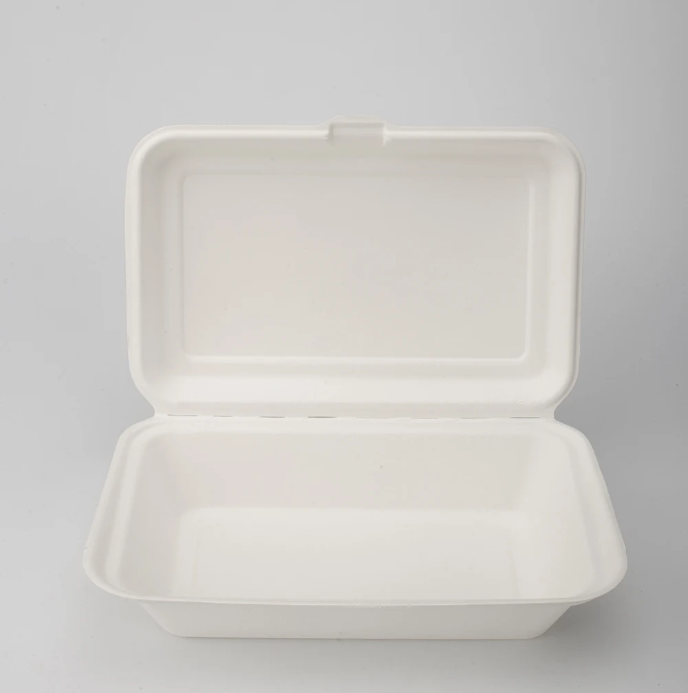 Eco-friendly Biodegradable Sugarcane Bagasse Pulp Molding Disposable Food Take Away Box To Go Lunch Box With Lid