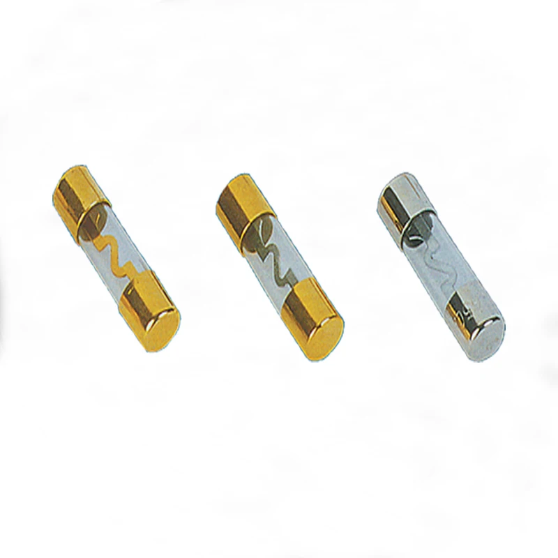 AGU Glass Tube Fuse 10x38mm fuse (20 amp 30A 40A 50A 60A 70A 80A 100A 120A)