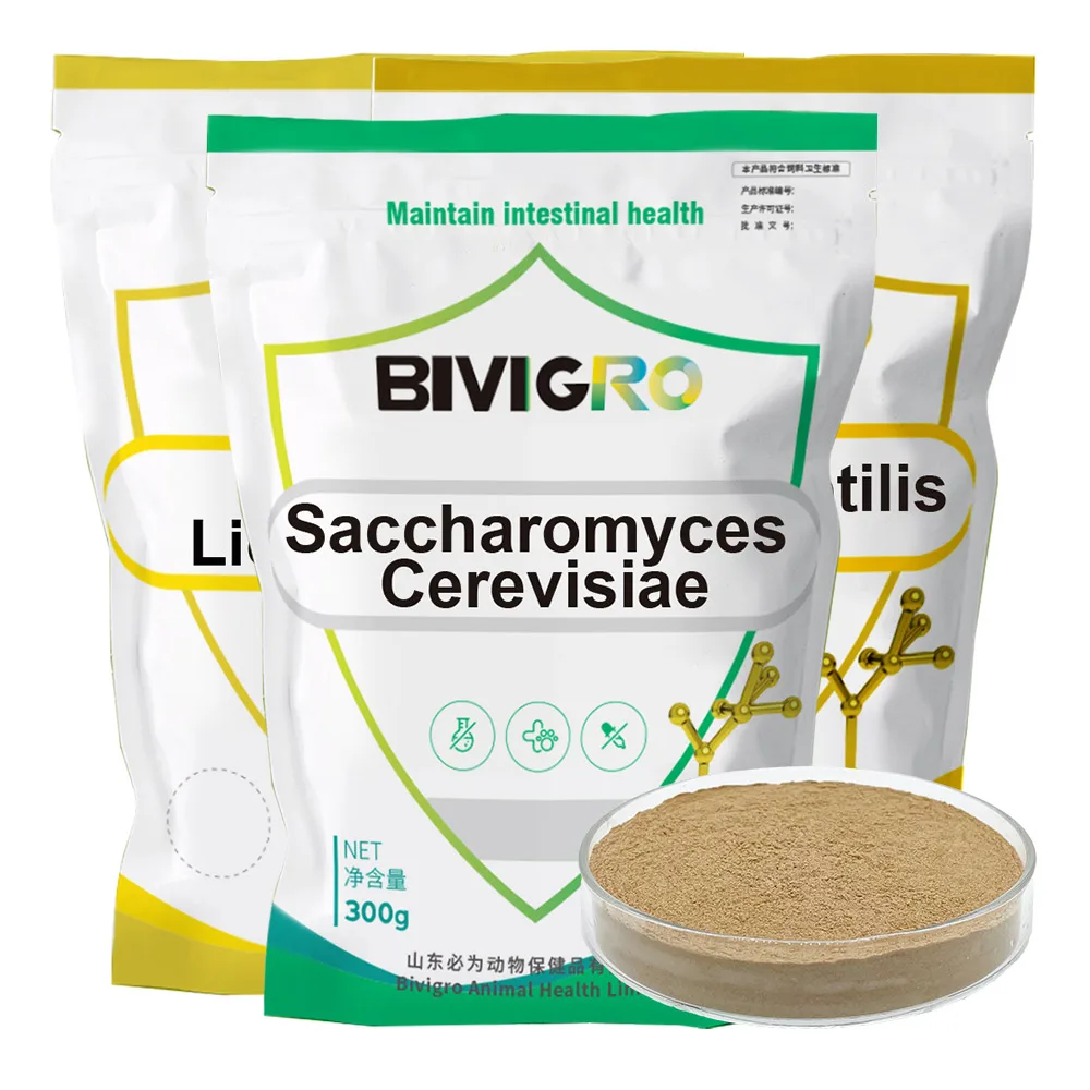 Aquaculture Water Treatment Bacteria Bacillus Subtilis Bacillus Licheniformis 1x10(11) cfu/g