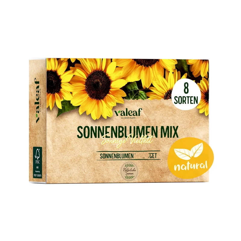 Hot Selling Sunflower Flower in Practical Plant Set for Plant Lovers