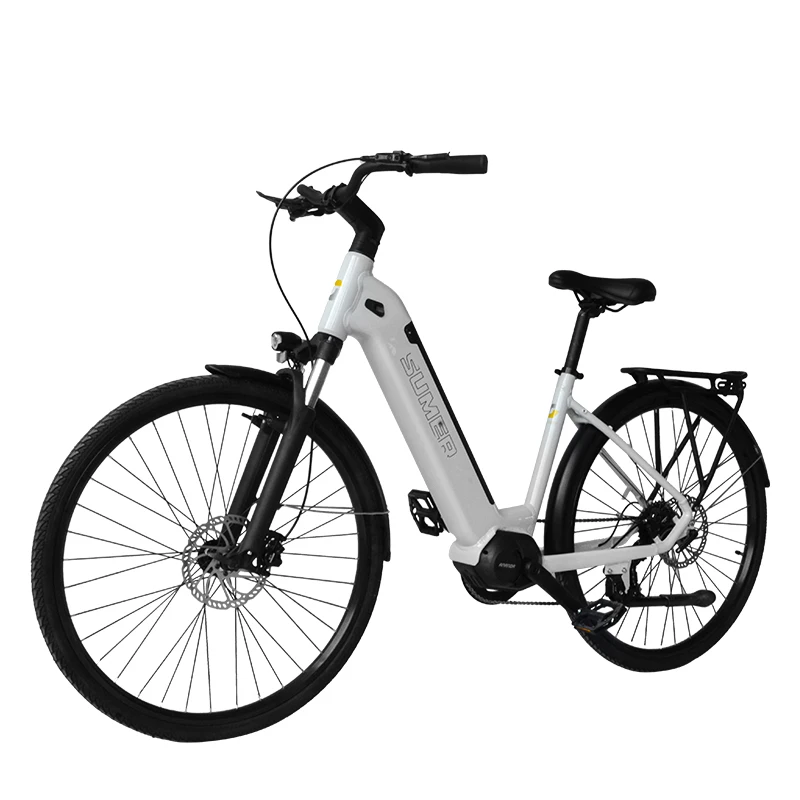 48V 350W Mid Mounted Motor Electric Scooter Electric City Bike For Adult