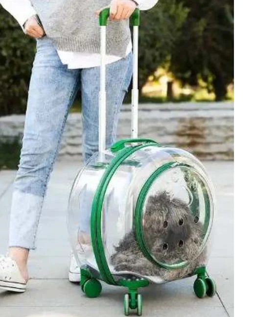 2024 pet trolly backpack mesh fabric backpack for pet  travel