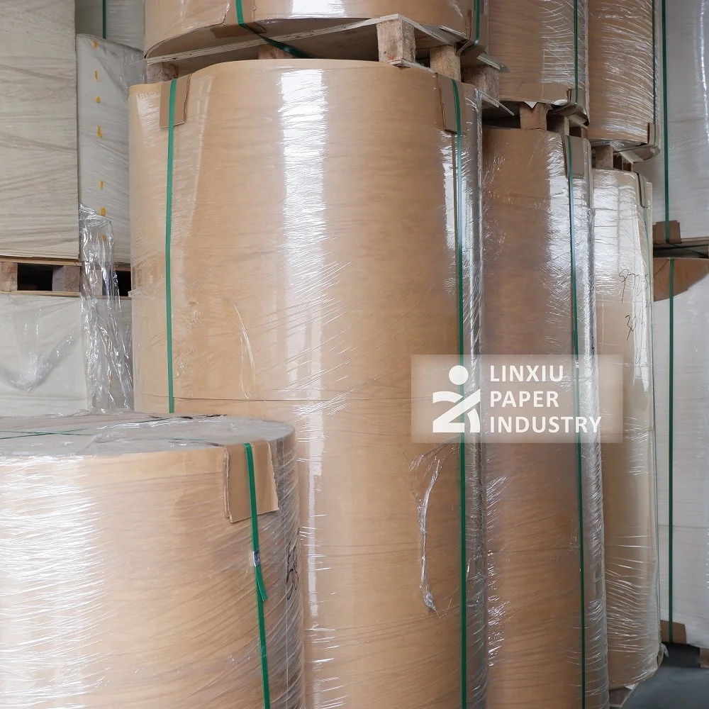 260gsm  food grade single pe coated craft paper roll for fast delivery paper lunch box /bowl making