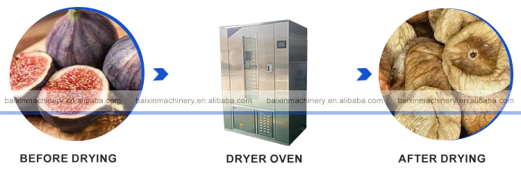 Fig dryer2.png